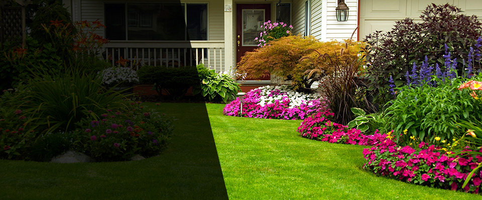 Algonquin Landscapers