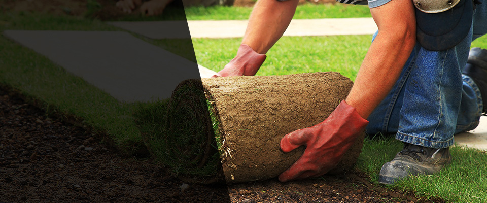 Algonquin Landscapers